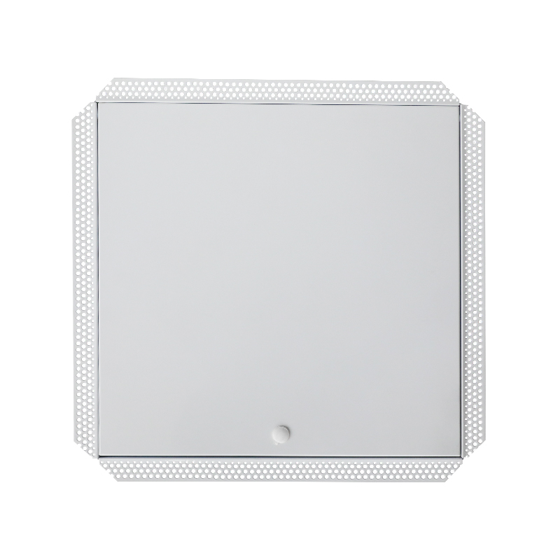 Panou de acces din oțel SS-AP251