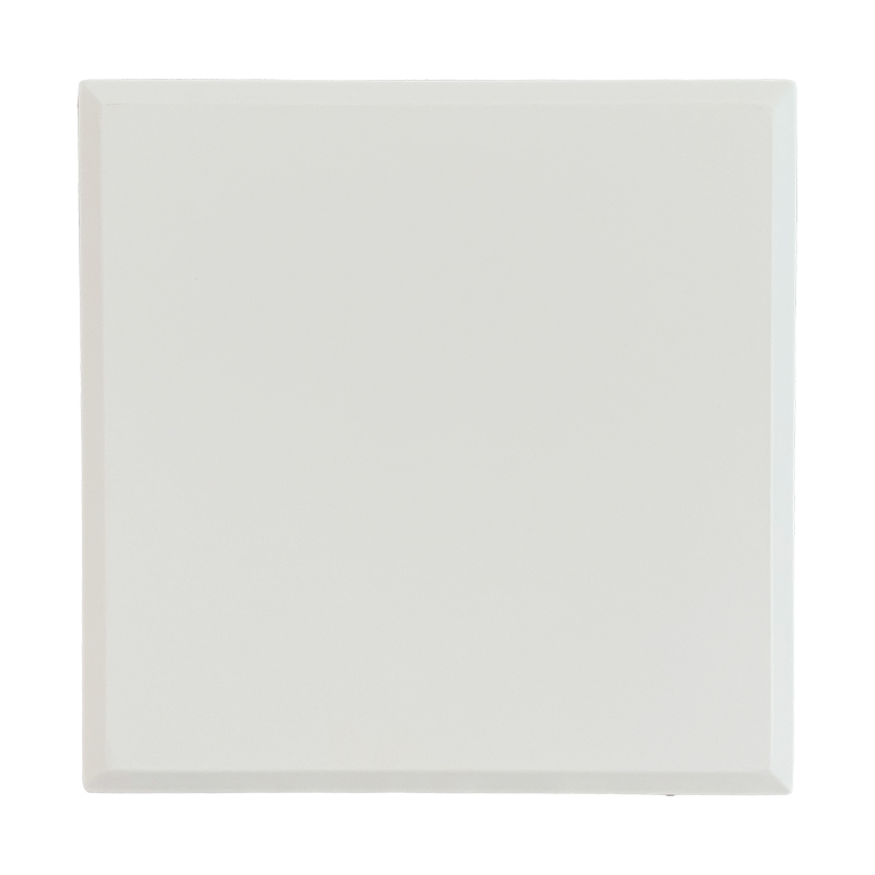 SS-MT001 Panou de acces cu magnet de fier