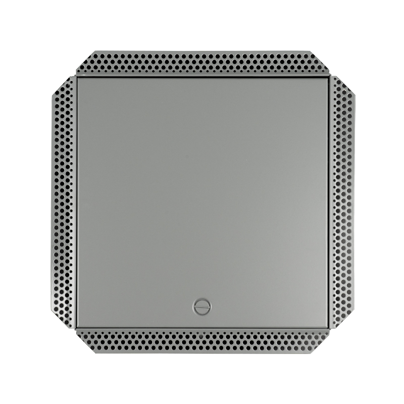 SS-AP250SB Panou de acces din oțel